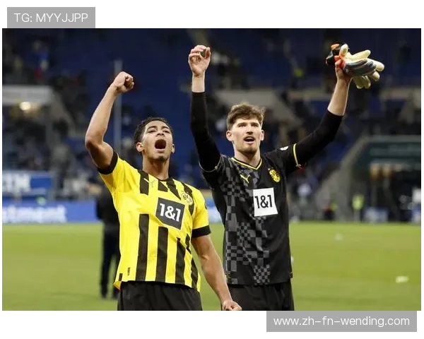 德甲联赛属于哪支球队主导？历年冠军归属概览